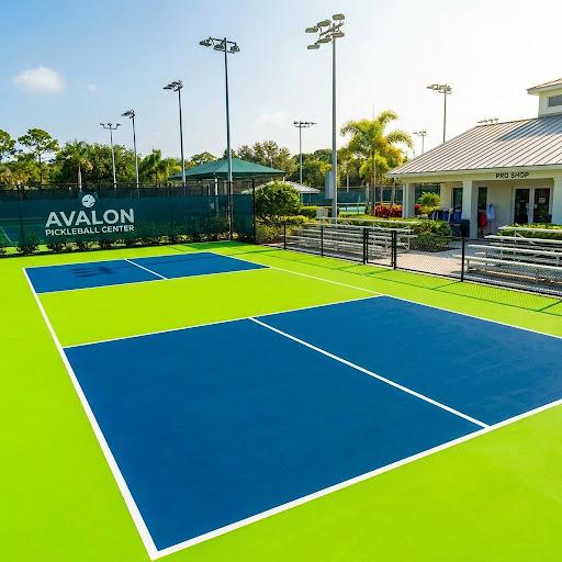 Pembangunan Lapangan Pickleball Modern Standar USA Pickleball - Wardana Sport